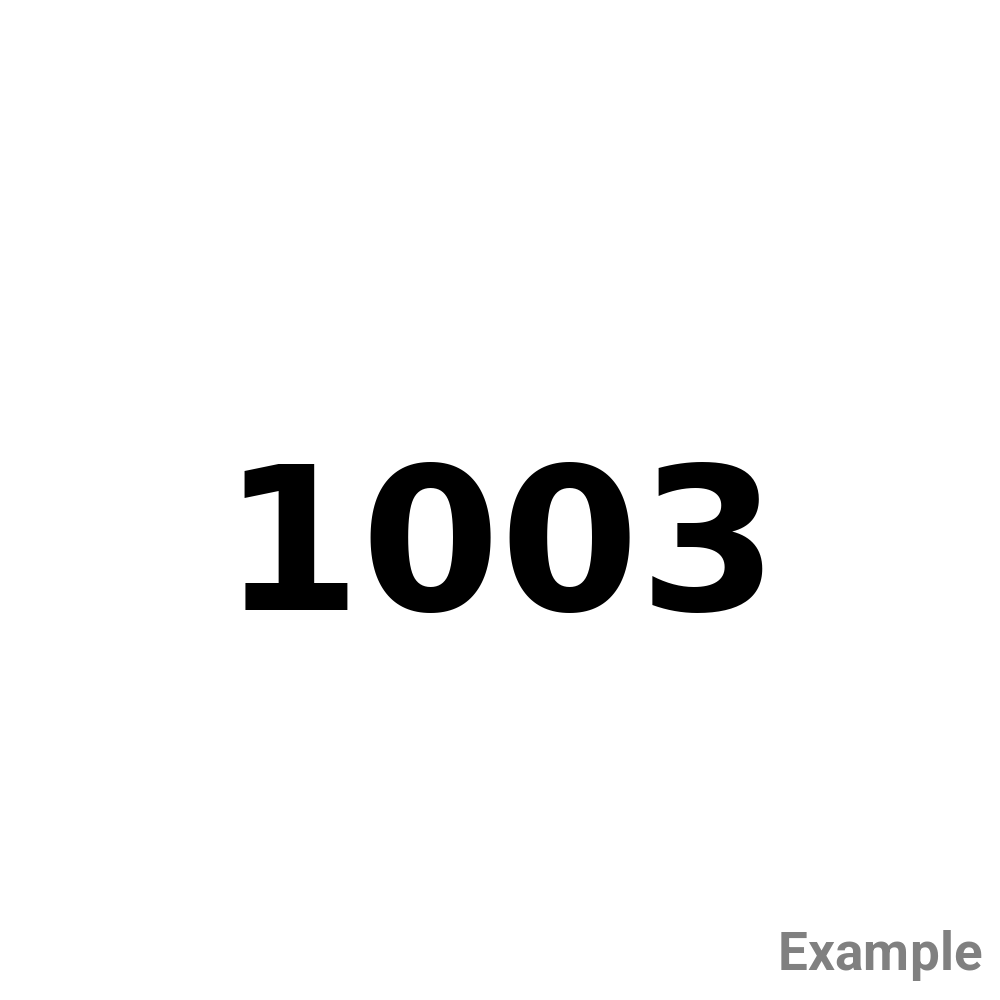 Test Product 1003 - New