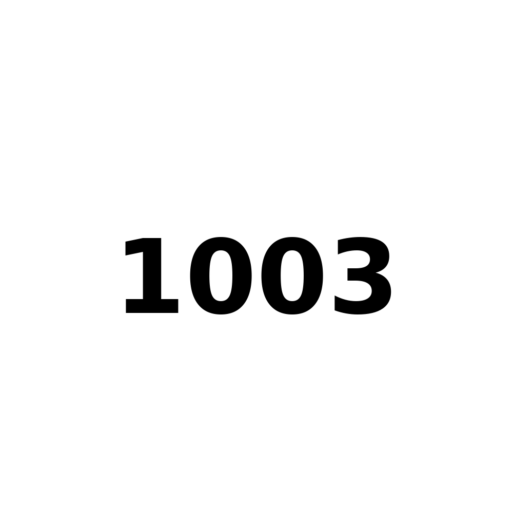 Test Product 1003 - New