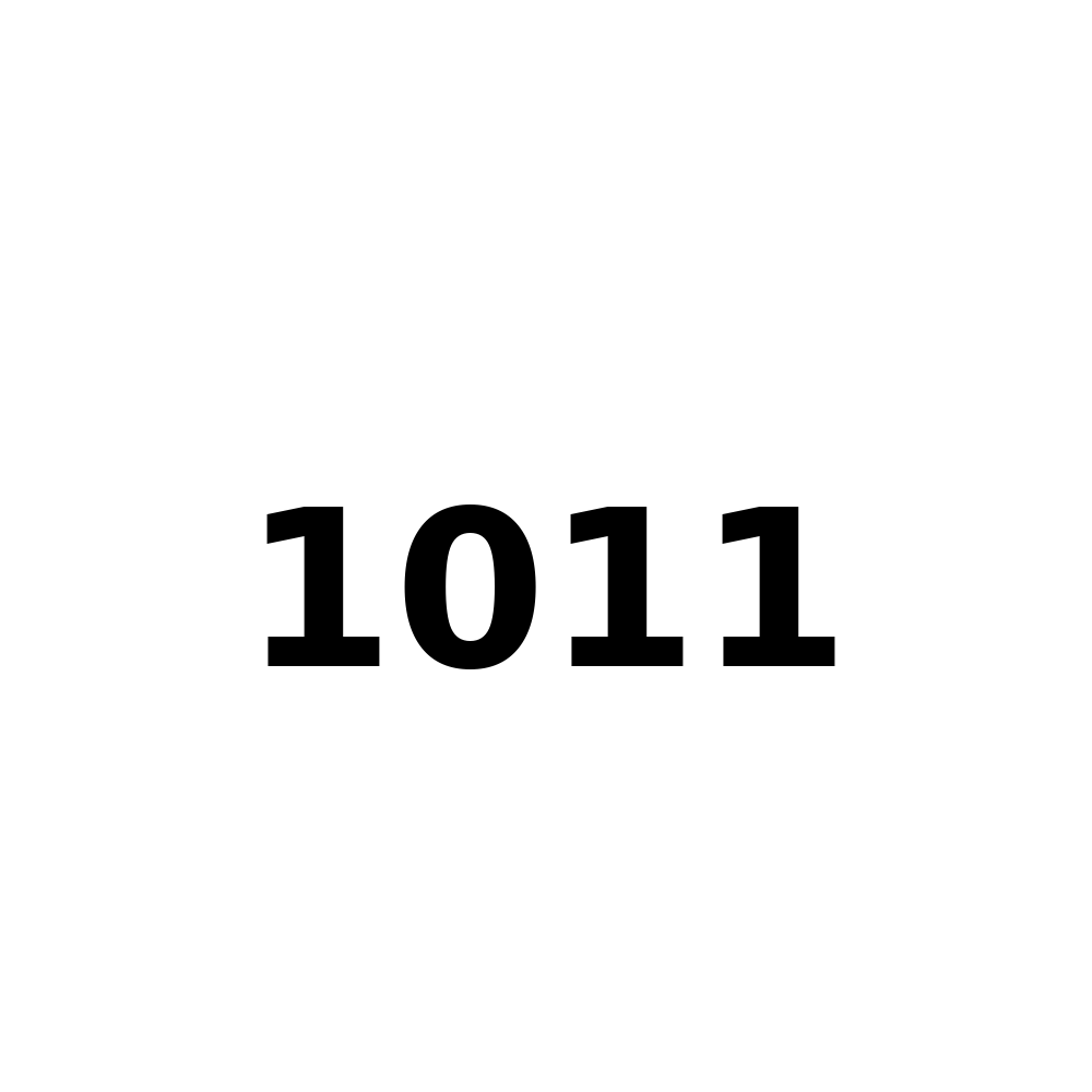 Test Product 1011 - New