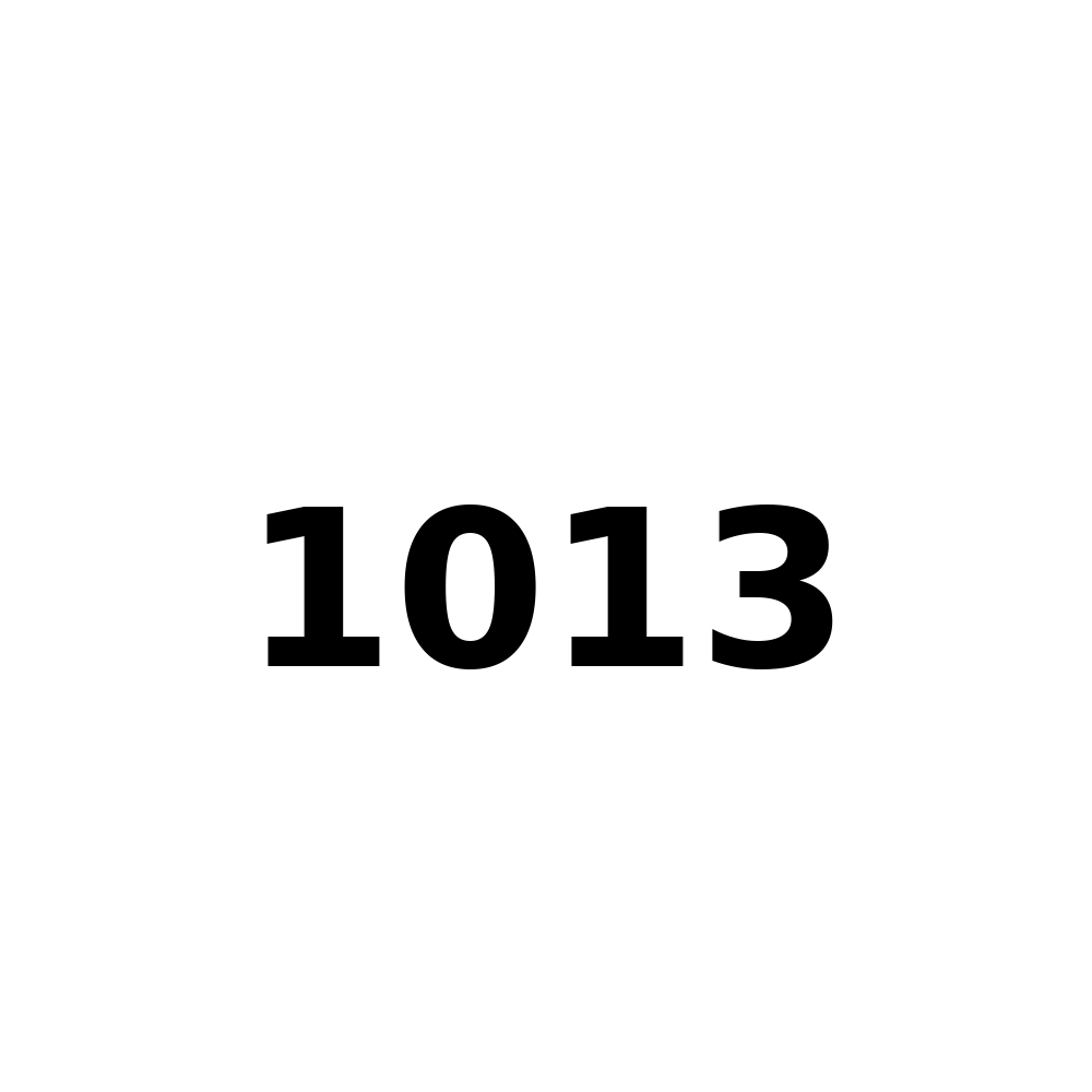 Test Product 1013 - New