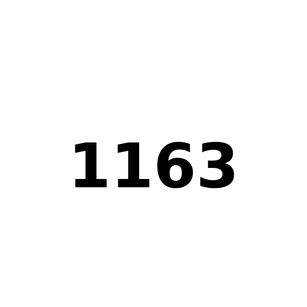 Test Product 1163 - New
