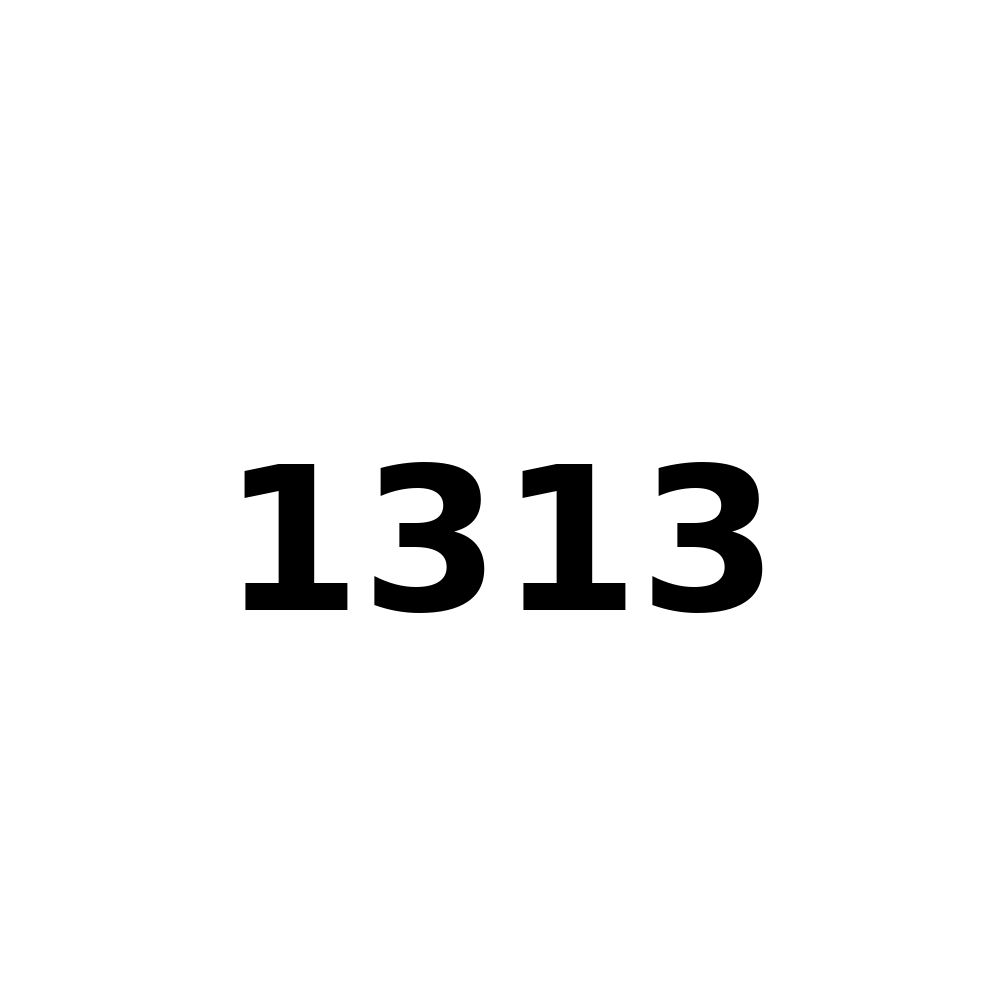 Test Product 1313 - New