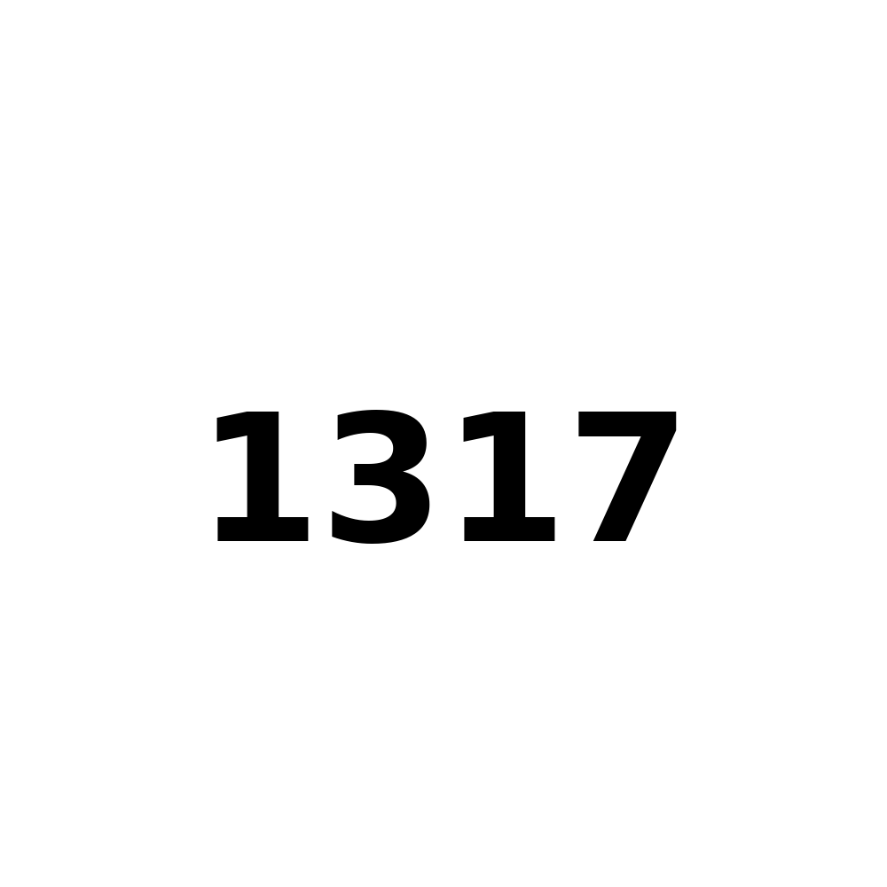 Test Product 1317 - New