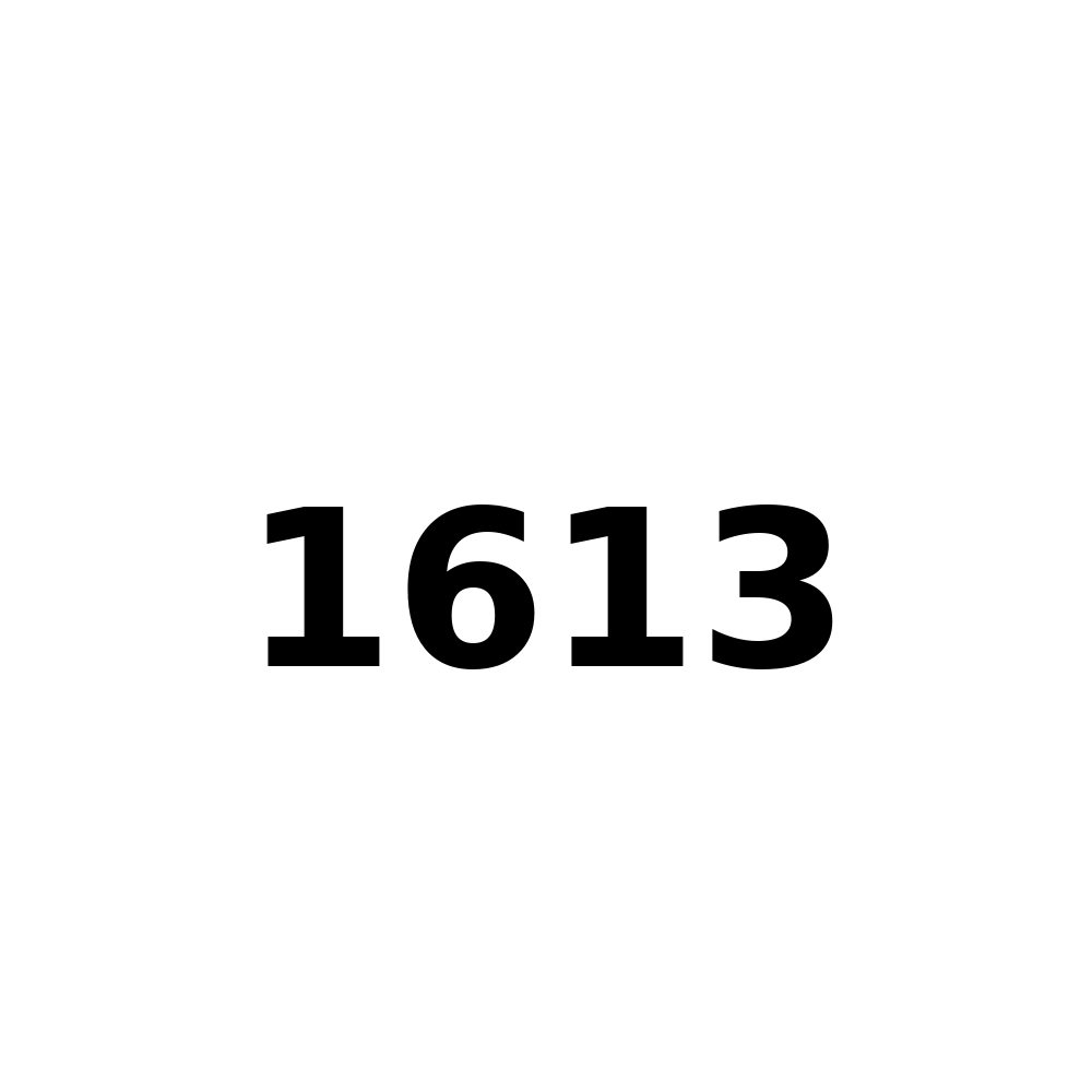 Test Product 1613 - New
