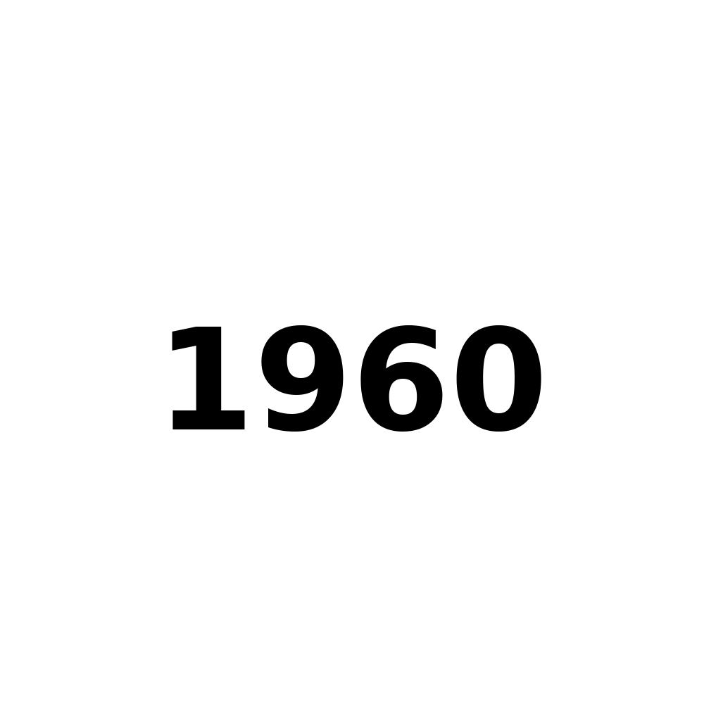 Test Product 1960 - New