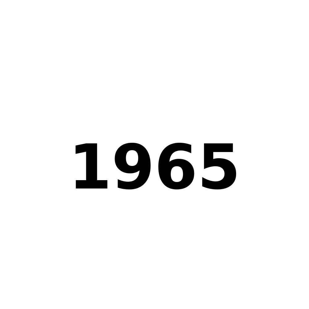Test Product 1965 - New