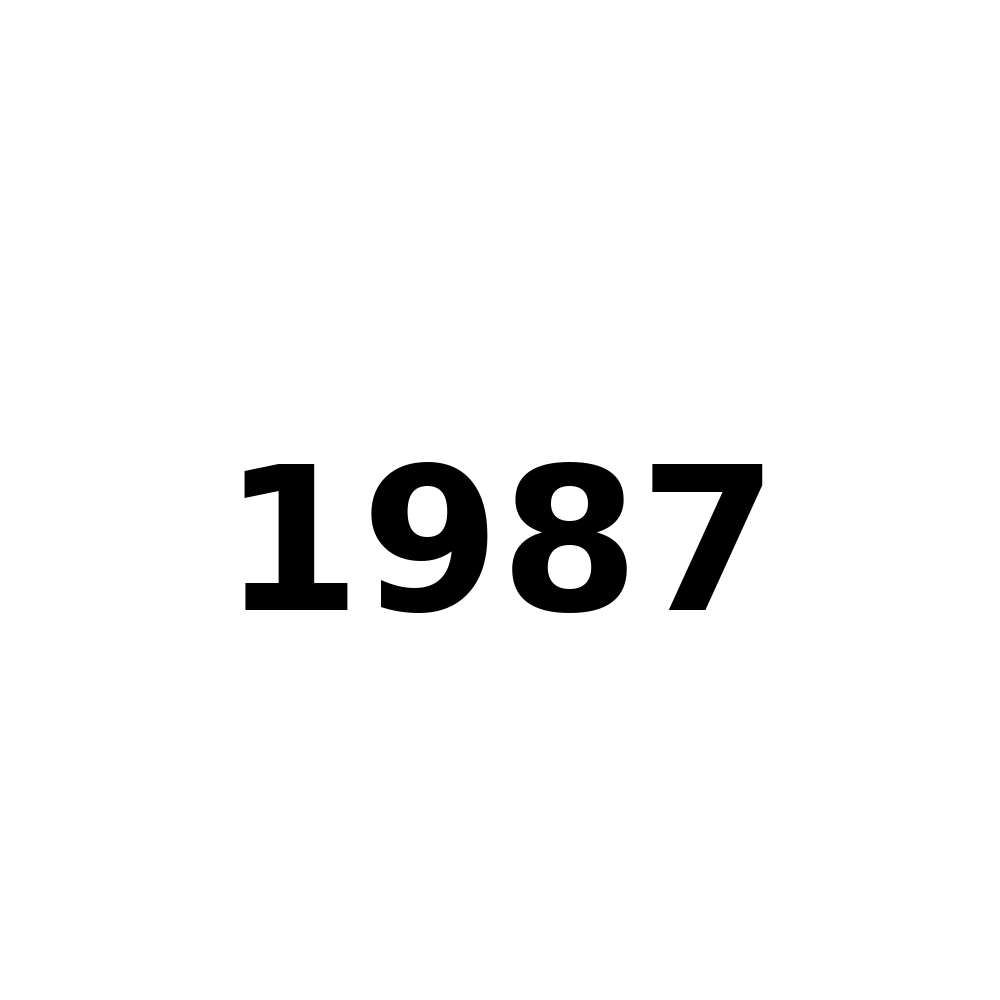 Test Product 1987 - New