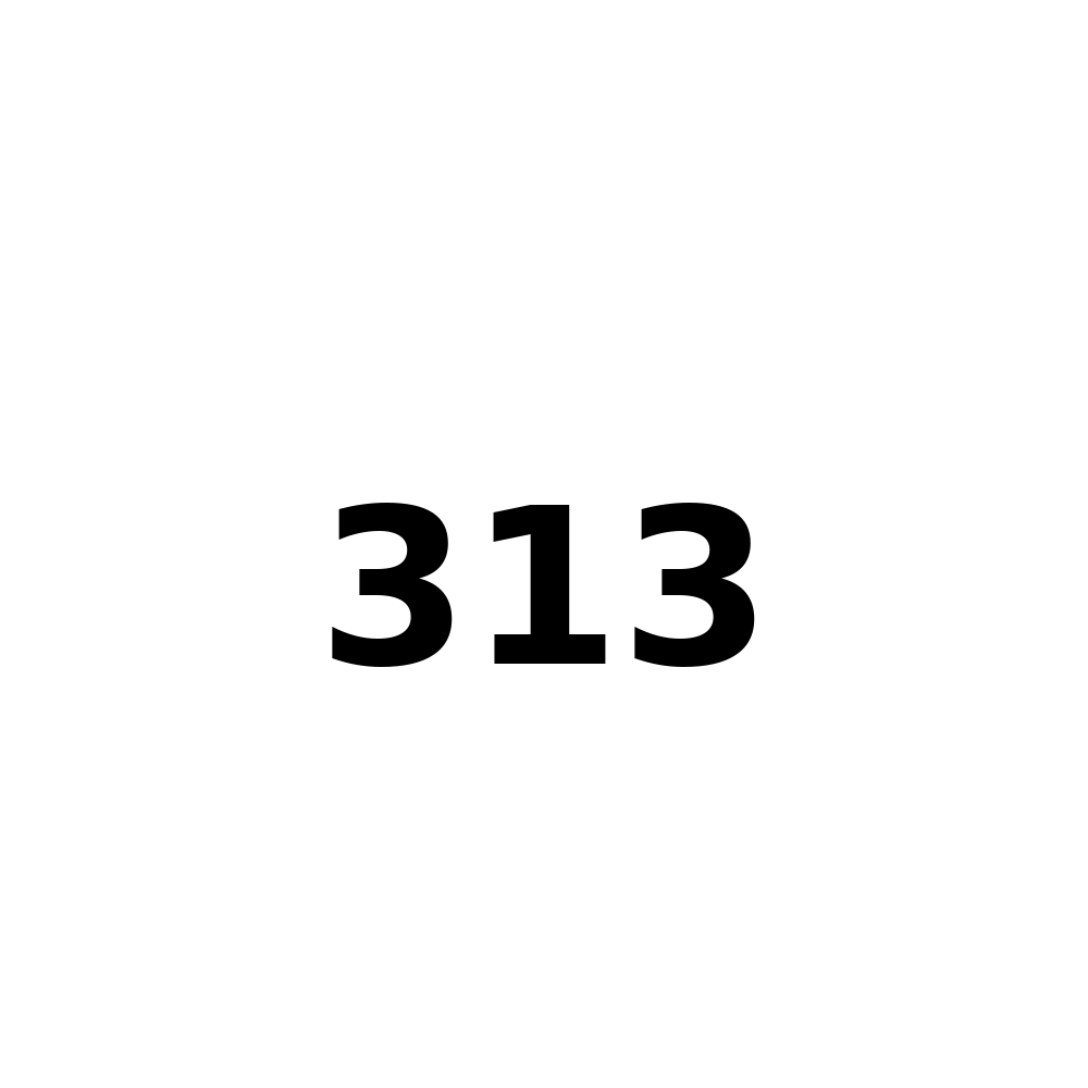 Test Product 313 - New