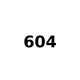 Test Product 604 - New
