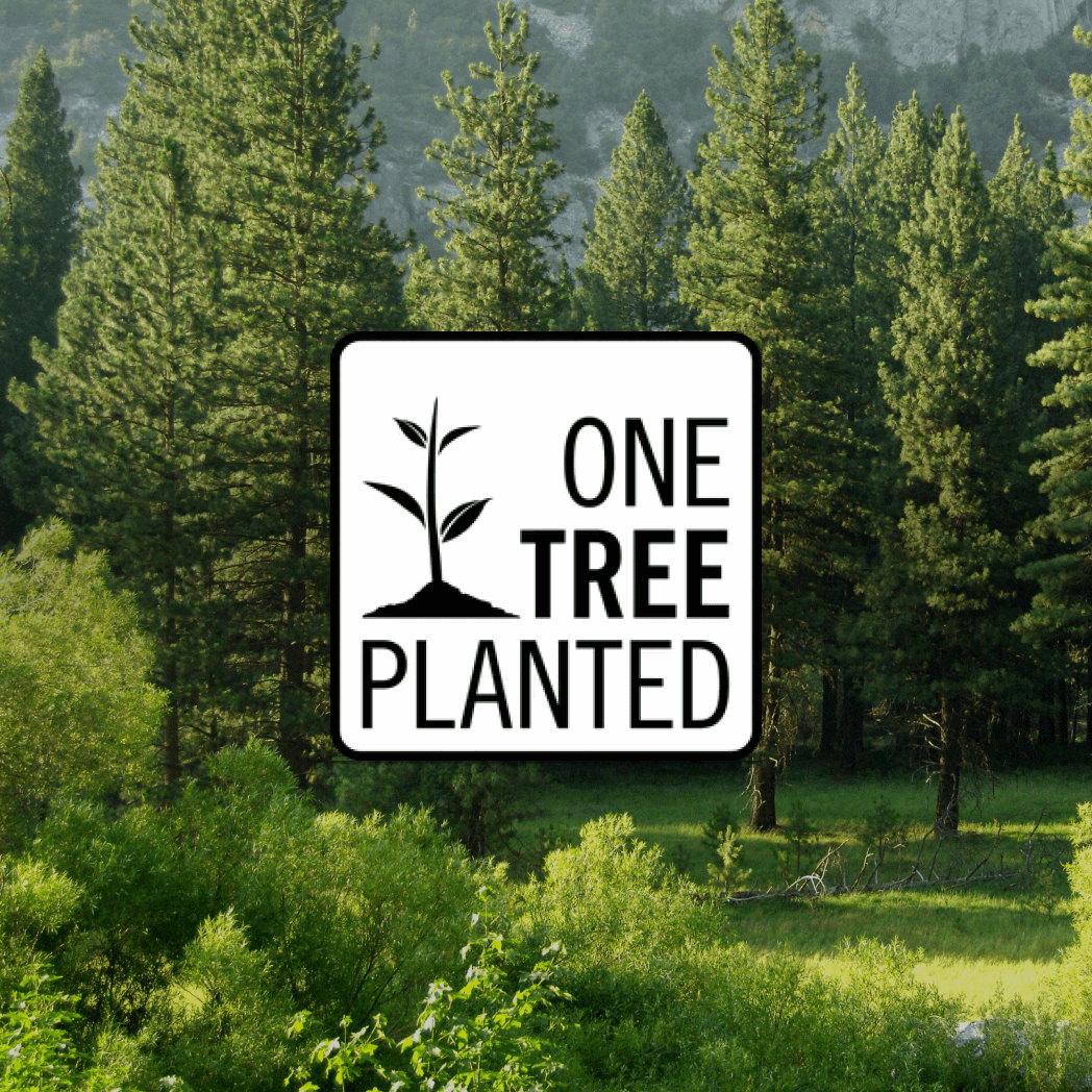 Donation of a Tree - New